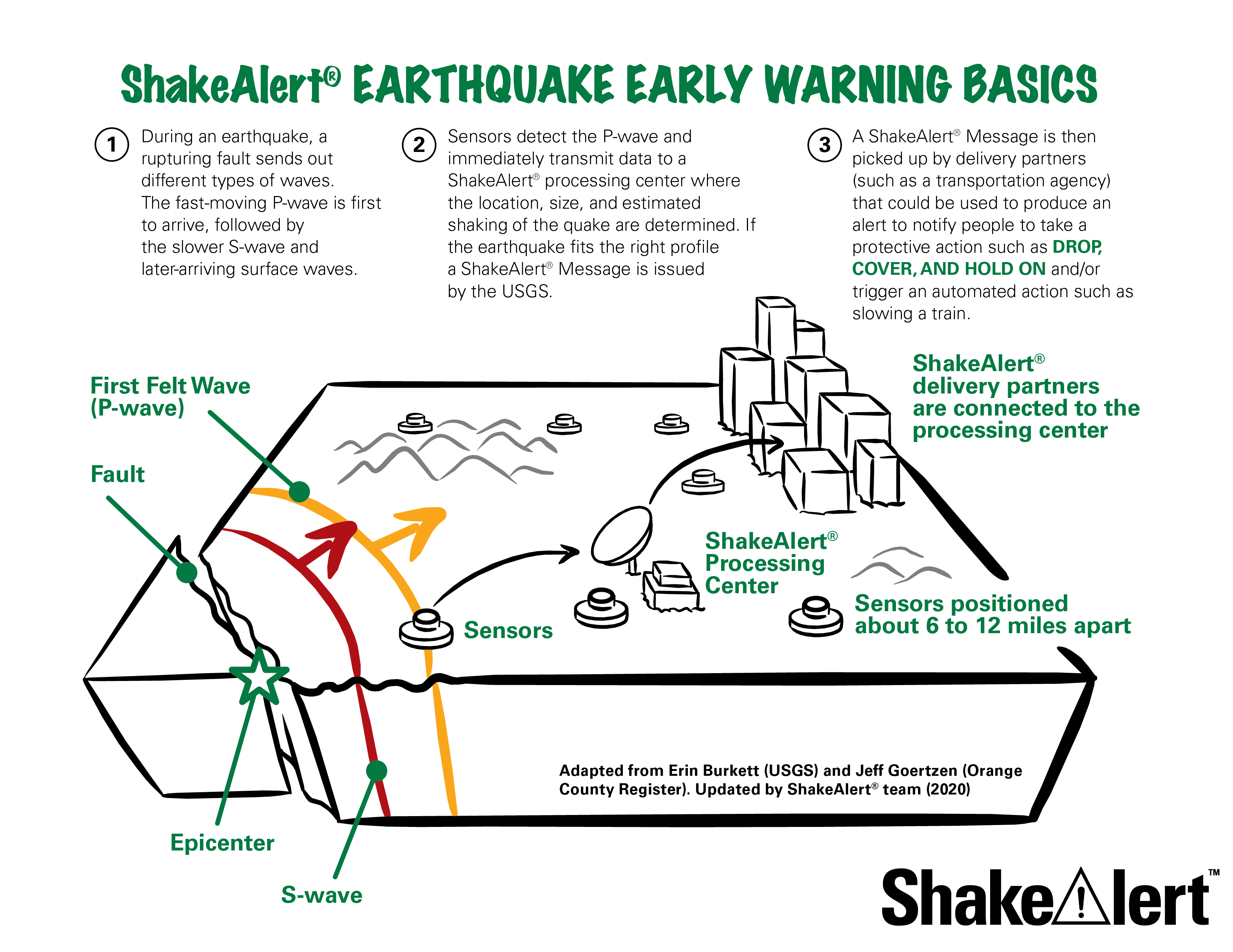 ShakeAlert Earthquake Early Warning Basics. During an earthquake, a rupturing fault sends out different types of waves. The fast-moving P-wave is first to arrive, followed by the slower, more damaging, S-wave and later-arriving surface waves. Sensors detect the P-wave and immediately transmit data to a ShakeAlert processing center where the location, size, and estimated shaking distribution of the earthquake are determined. If the earthquake meets the right criteria, a ShakeAlert Message is issued by the USGS. The published ShakeAlert Message is then picked up by delivery partners who produce alerts to notify people to take a protective action such as Drop, Cover, and Hold On and/or trigger an automated action such as slowing a train to prevent derailment.